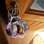 Jaktstuga Moinhos Do Alecrim *